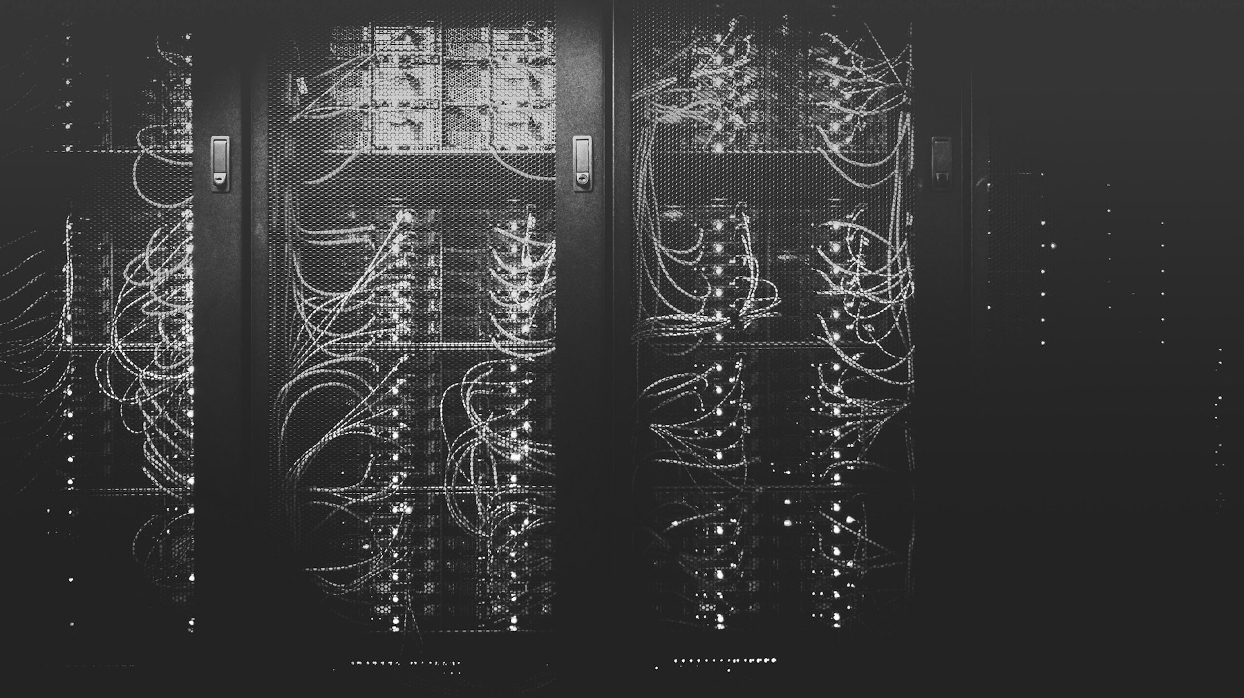 Rows of network cabling inside a dim server room